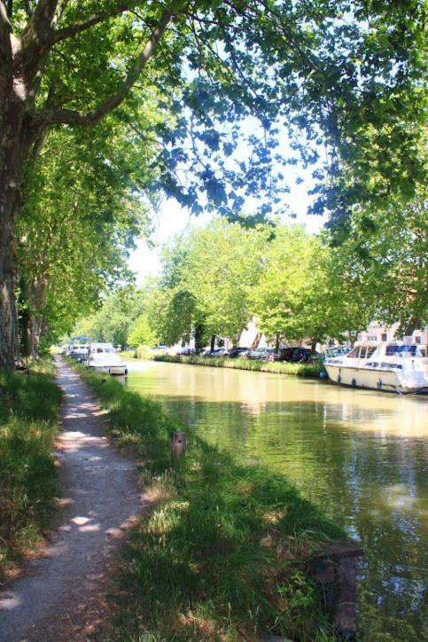 L'Appart Du Canal Carcassonne Exteriör bild